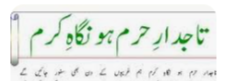 Tajdar e Haram
