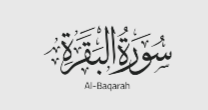 Surah al Baqarah